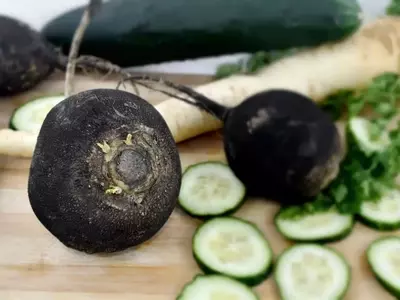 El Rábano Negro: Un Tesoro Oculto con Propiedades Asombrosas