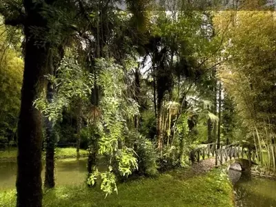 Descubre la Majestuosidad del Jardín Botánico de Bertiz en Navarra
