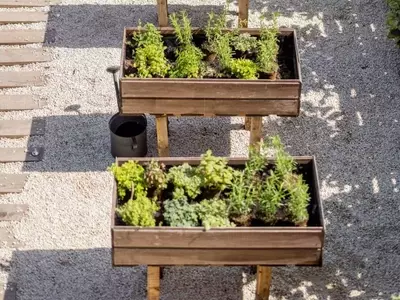 Cultivos Resilientes: Transformando la Horticultura Moderna