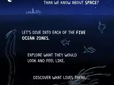 Unveiling the Ocean's Mysteries: A Deep Dive into its Ecological Zones