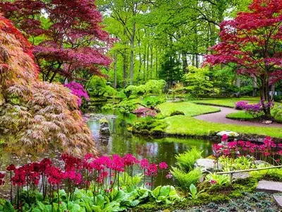 La Fascinante Evolución y Filosofía de los Jardines Japoneses