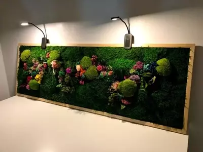 Arte Verde: Explorando el Mundo de los Cuadros de Musgo Preservado