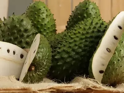 Guanábana: Una Joya Tropical de Sabor y Salud