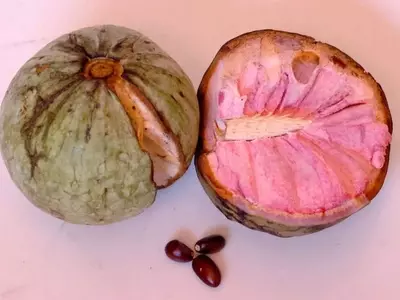La Anona Hondureña: Un Tesoro Tropical con Sabor Exquisito y Múltiples Beneficios