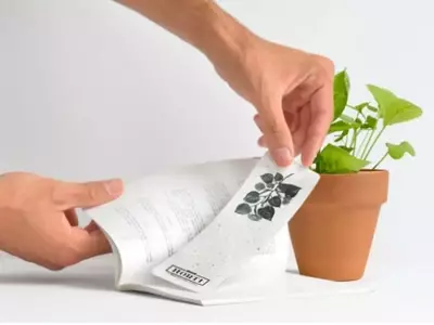 Marcadores Plantables: Un Regalo Ecológico que Crece