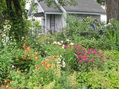 Flores en tu Jardín: Cultivo, Beneficios y Especies Ideales para un Ecosistema Equilibrado