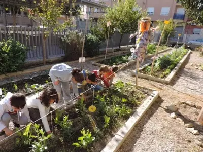 Un enfoque educativo revolucionario: Cultivando el futuro en Pontevedra