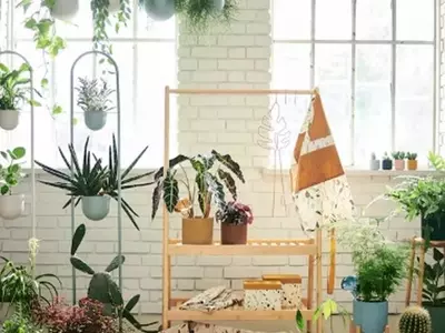 Eleva tu Jardín: El Soporte de Bambú de IKEA que Revoluciona tus Espacios Verdes