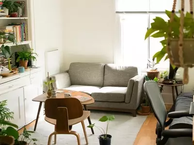 El Arte del Poto en el Hogar: Armonía y Energía según el Feng Shui