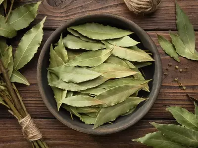 Descubre el Poder del Laurel: Usos Culinarios y Beneficios para la Salud