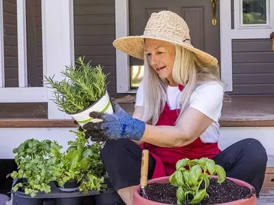Guía Integral para el Cuidado Óptimo de Plantas: Programación y Herramientas Digitales