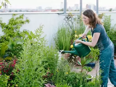 Diseñando el Jardín Ideal: Una Guía Completa desde Cero