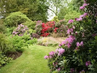 Jardines Nativos: Creando Ecosistemas Vibrantes y Sostenibles