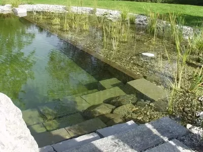 Piscinas Naturalizadas: Un Oasis Sostenible y Saludable en el Jardín