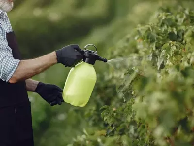 Control Efectivo de Mosquitos: Soluciones para un Jardín Libre de Plagas
