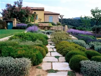 El Arte de Cultivar Jardines Resistentes a la Sequía: Estrategias para un Oasis Duradero