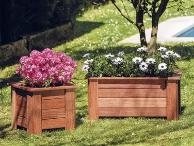 Armonía Botánica: Creación de Composiciones Únicas en Maceteros de Jardín