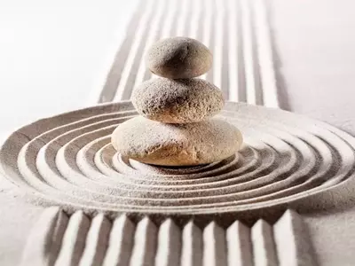 Cultivando la Serenidad: La Esencia de los Jardines Zen y el Poder de las Piedras Decorativas