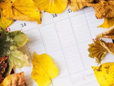 Descifrando el Calendario Natural: Cómo las Plantas Perciben y Responden al Cambio Estacional
