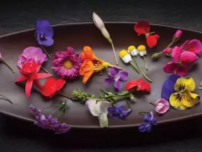 Flores Comestibles: Un Toque Vibrante y Saludable para sus Ensaladas Veraniegas