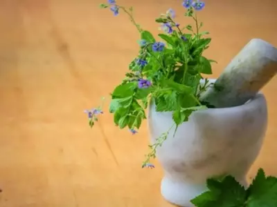 El Poder Aromático de la Naturaleza: Flores para la Salud Integral y el Bienestar del Hogar