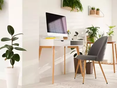 Transforma tu Oficina: Guía Completa de Plantas Ideales para Espacios sin Ventanas