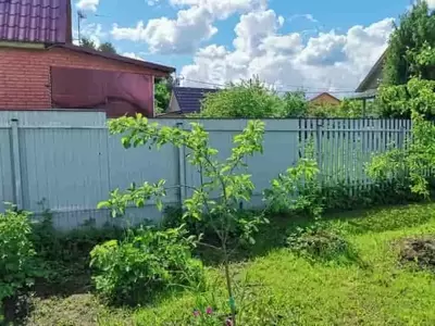 Optimización de la Poda Estival en Árboles Frutales: Guía Completa