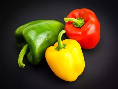 Guía Completa para el Cultivo de Pimientos en Macetas: Desde la Semilla hasta la Cosecha