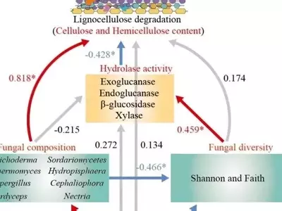 Revolución Agrícola: Comunidades Microbianas Sintéticas Impulsan el Compostaje y el Crecimiento de Cultivos