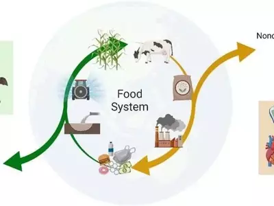 La biodiversidad ecológica mejora la nutrición en los agrobosques de Fiji