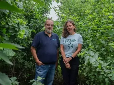 Microforests: A Breath of Fresh Air for Urban Environments