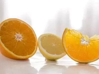 Naranjo Navelina: Cuidado y Cultivo para Frutas Excepcionales