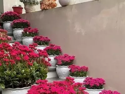 Explosión Escarlata: Flores Rojas para Revitalizar tu Jardín Primaveral