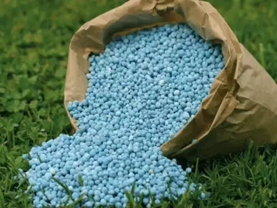 Guía Completa para el Uso Óptimo del Abono Azul Universal en Macetas