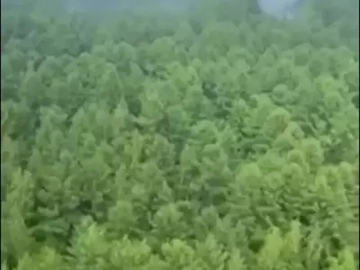 Russian Aircraft Goes Down in Far East