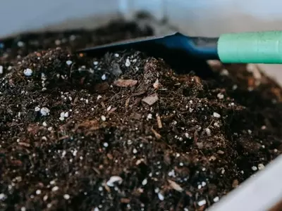 Compostaje Sostenible: Transformando Residuos en Vida para Tu Jardín