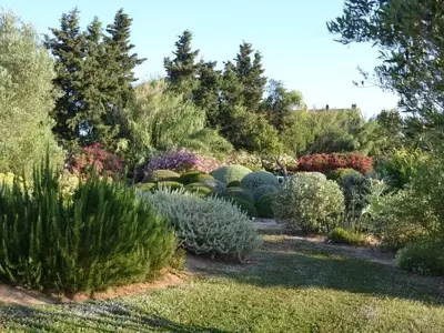 La Distancia Ideal: Guía Esencial para un Jardín Floreciente y Saludable