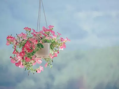 Embellezca Su Balcón: Guía Completa para Instalar Macetas Colgantes