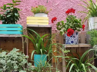 Diseño Estratégico de Jardines: Ubicación y Agrupación de Macetas para un Espacio Verde Exuberante