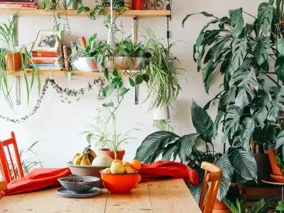Plantas de Interior Grandes y Sencillas: Transforma tu Espacio en un Oasis Verde