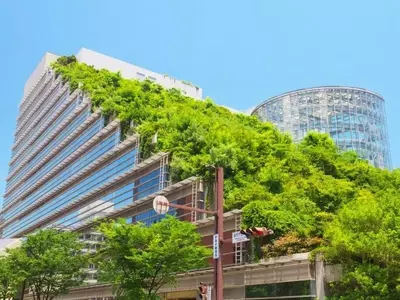 Cubiertas Verdes: Un Paso Hacia Ciudades Sostenibles y Resilientes en España