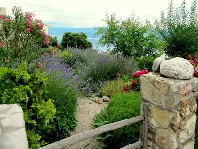 Plantas Cubresuelos Resistentes a la Sequía: La Solución Ideal para Jardines de Bajo Consumo Hídrico