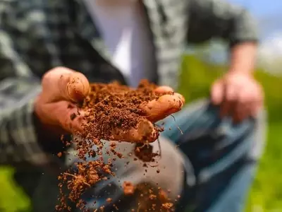 Impacto del Uso Excesivo de Fertilizantes en el Suelo y el Ecosistema