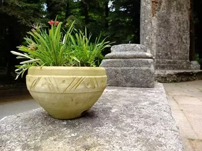 Revitaliza tus macetas de barro con un estilo vintage: Guía completa