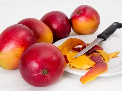 Guía Completa para el Cultivo de Mango desde su Semilla