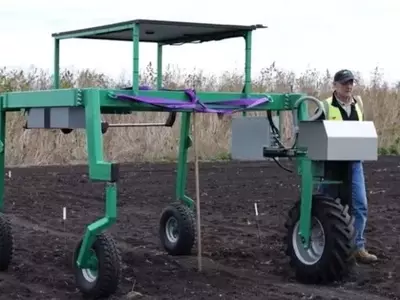 Revolución Agrícola: Robot Agrónomo Australiano Desvela Secretos de las Raíces para Cultivos Resilientes