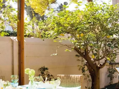Guía Experta para una Floración Abundante de tu Limonero
