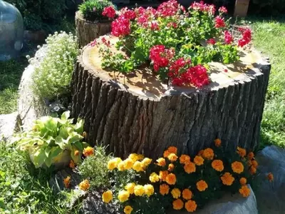 Transforma tu Jardín: Ideas Innovadoras para Reutilizar Troncos de Árboles Cortados