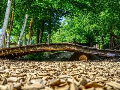Virutas de Madera: El Aliado Versátil para un Jardín Floreciente y Sostenible