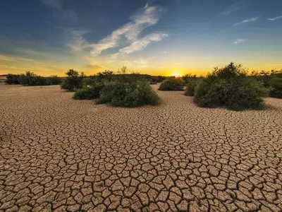 Frutales de Secano: Cosechas Abundantes en Climas Áridos